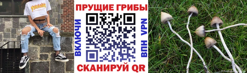 Галлюциногенные грибы мухоморы  купить закладку  Слободской 